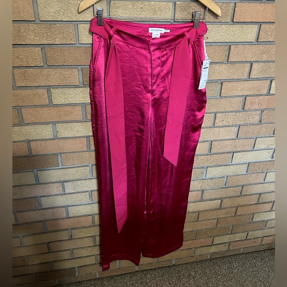 NWT Good American Wash Satin Pants Wide Leg Pink Love Potion Size 2/26 - Picture 3 of 6